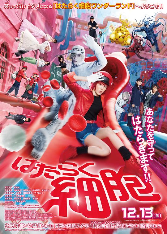 女同视频《工作细胞 真人版 はたらく細胞》免费在线观看