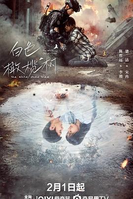 好色TV《白色橄榄树》免费在线观看