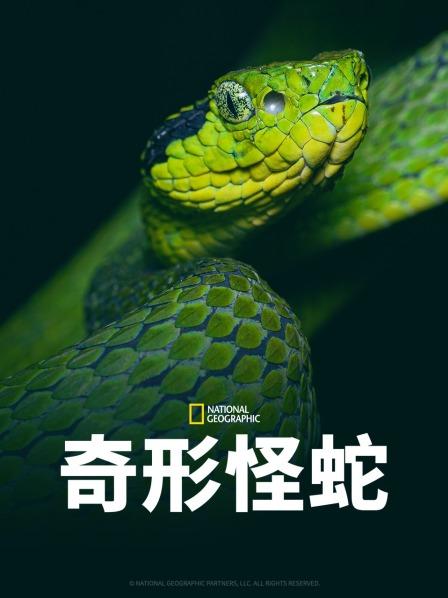 好色TV《奇形怪蛇》免费在线观看